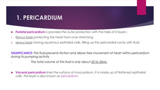 Layers Of Cardiac Wall.pdf