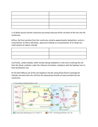 3. A) Water passes into the canaliculus by osmosis because of the secretion of the ions into the
canaliculus.
b)Thus, the final secretion from the canaliculus contains approximately hydrochloric acid at a
concentration of 150 to 160 mEq/L, potassium chloride at a concentration of 15 mEq/L & a
small amount of sodium chloride.
4.a) Finally , carbon dioxide, either formed during metabolism in the cell or entering the cell
from the blood ,combines under the influence of carbonic anhydrase with the hydroxyl ions to
form bicarbonate ions.
b) This then diffuses out of the cell cytoplasm into the extracellular fluid in exchange for
chloride ions that enter the cell from the extracellular fluid & are later secreted into the
canaliculus.
 