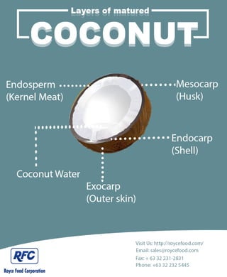 Layers of matured coconut