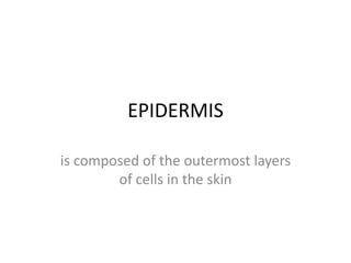 EPIDERMIS

is composed of the outermost layers
        of cells in the skin
 