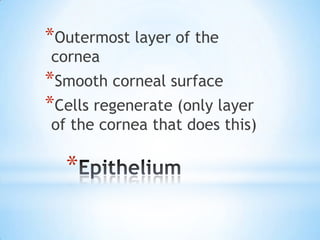 *Outermost layer of the
cornea
*Smooth corneal surface
*Cells regenerate (only layer
of the cornea that does this)

  *
 
