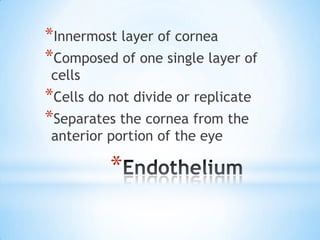 *Innermost layer of cornea
*Composed of one single layer of
 cells
*Cells do not divide or replicate
*Separates the cornea from the
 anterior portion of the eye

          *
 