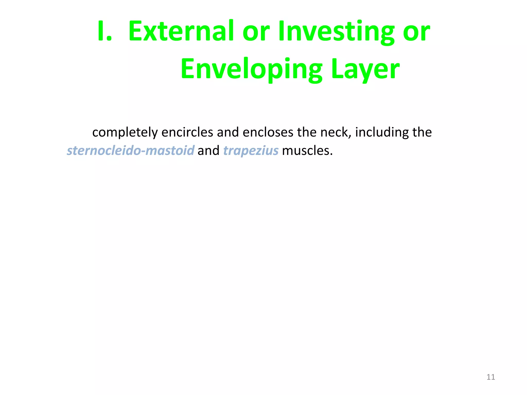 I. External or Investing or
           Enveloping Layer
    completely encircles and encloses the neck, including the
sternocleido-mastoid and trapezius muscles.




                                                                11
 