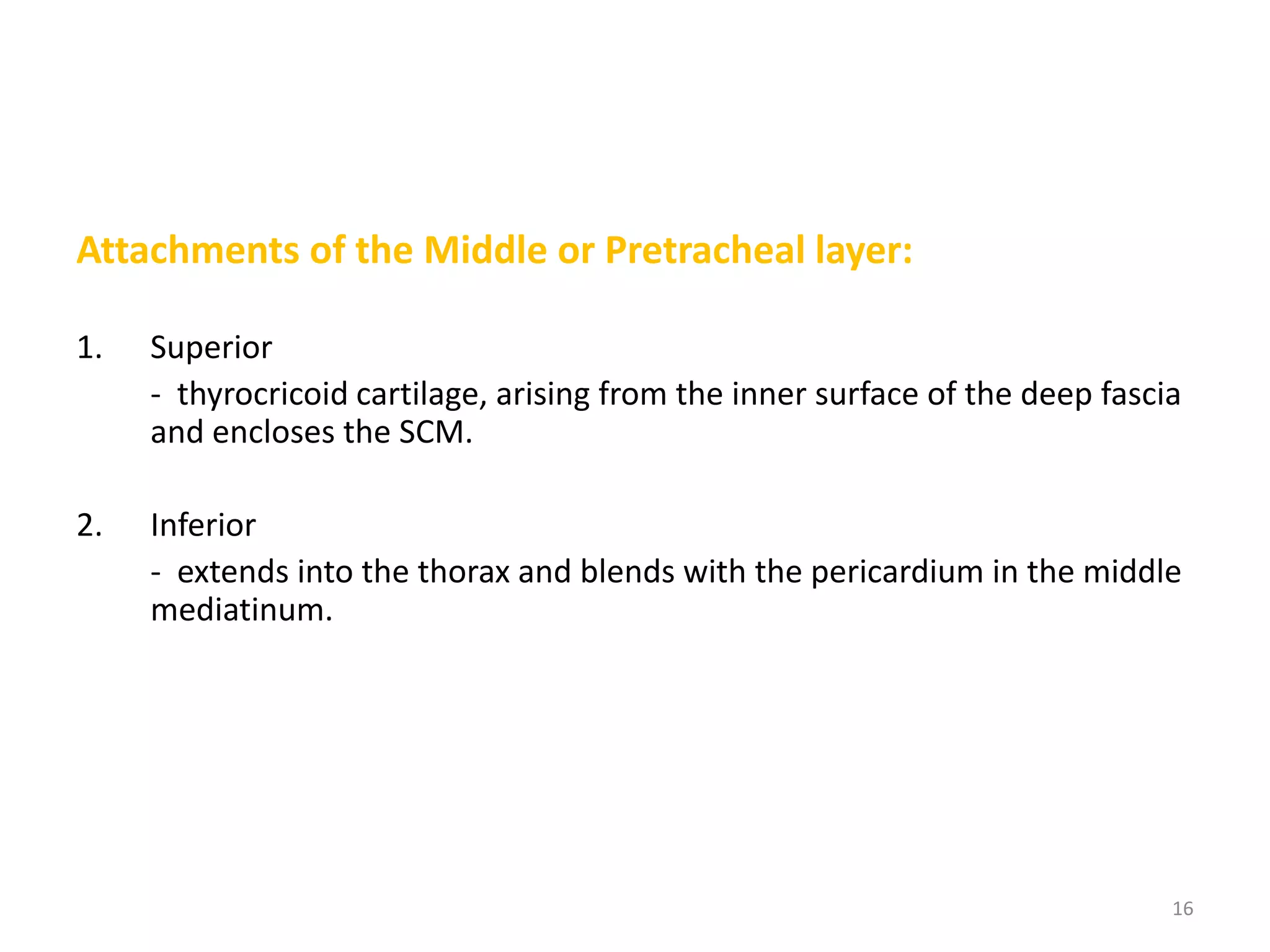 Attachments of the Middle or Pretracheal layer:

1.   Superior
     - thyrocricoid cartilage, arising from the inner surface of the deep fascia
     and encloses the SCM.

2.   Inferior
     - extends into the thorax and blends with the pericardium in the middle
     mediatinum.




                                                                               16
 