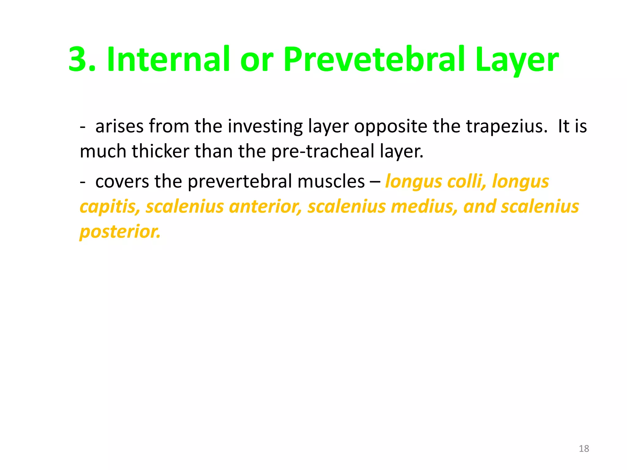 3. Internal or Prevetebral Layer
- arises from the investing layer opposite the trapezius. It is
much thicker than the pre-tracheal layer.
- covers the prevertebral muscles – longus colli, longus
capitis, scalenius anterior, scalenius medius, and scalenius
posterior.




                                                             18
 