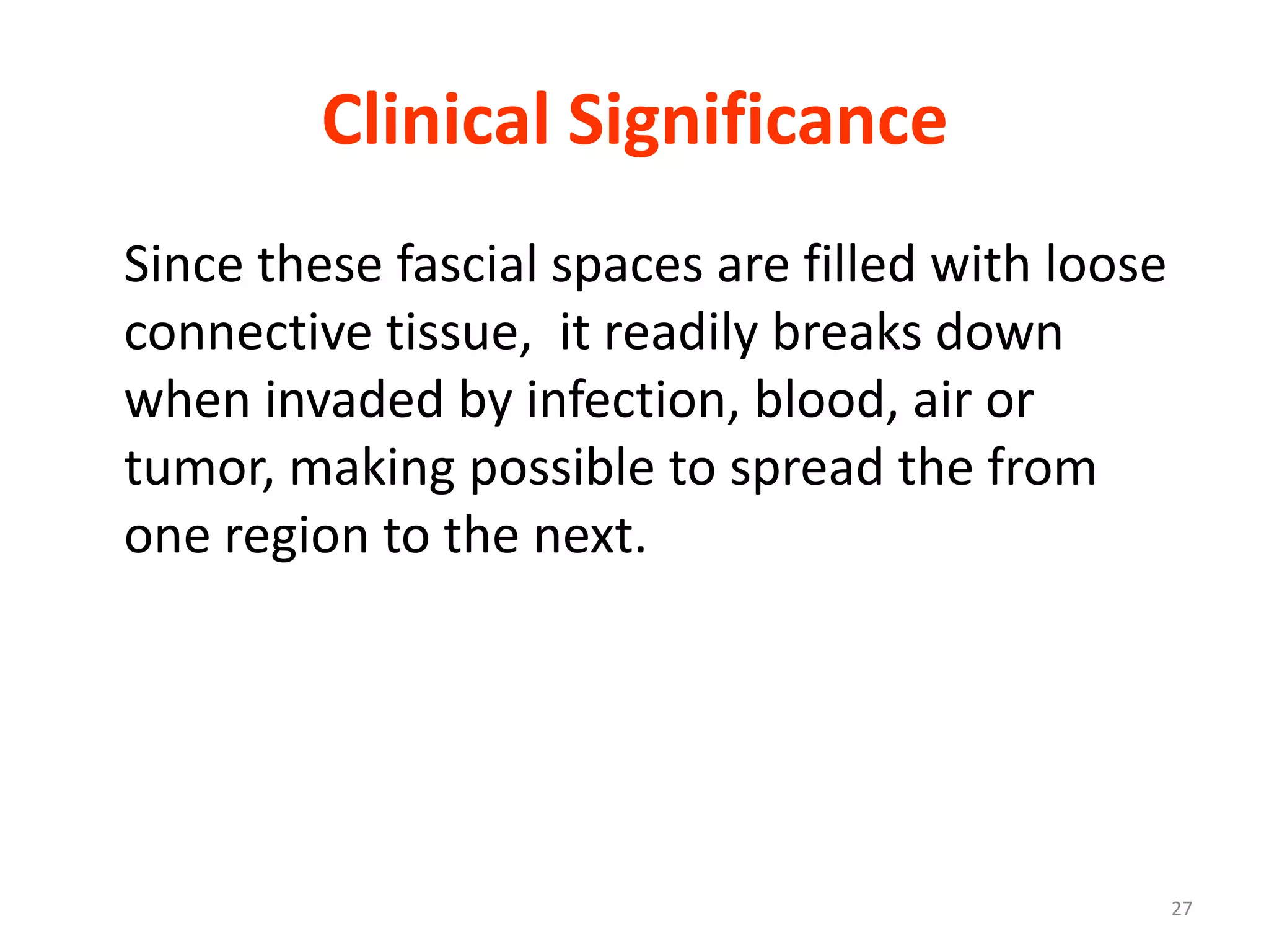Clinical Significance
Since these fascial spaces are filled with loose
connective tissue, it readily breaks down
when invaded by infection, blood, air or
tumor, making possible to spread the from
one region to the next.




                                                   27
 