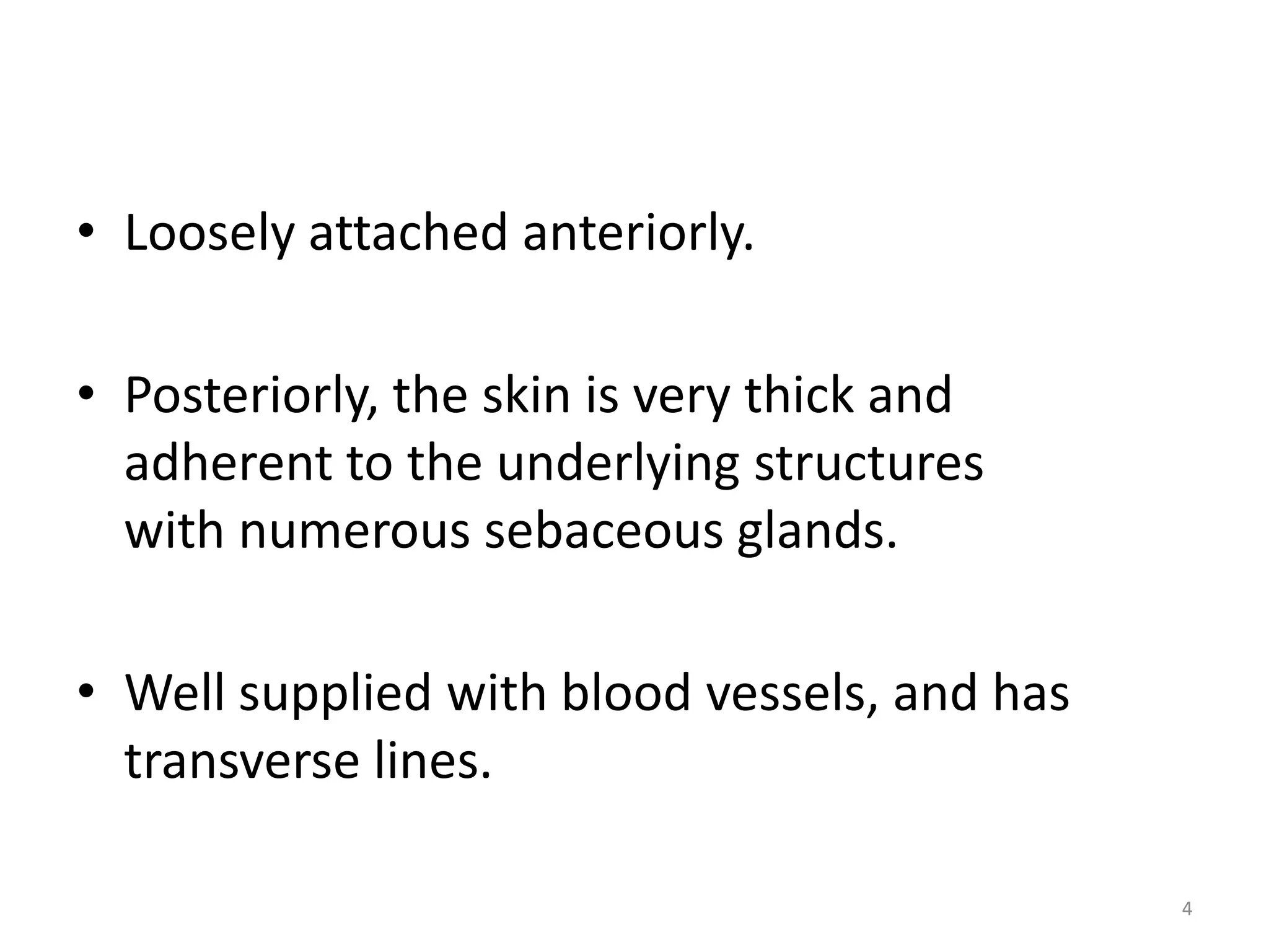 • Loosely attached anteriorly.

• Posteriorly, the skin is very thick and
  adherent to the underlying structures
  with numerous sebaceous glands.

• Well supplied with blood vessels, and has
  transverse lines.

                                              4
 