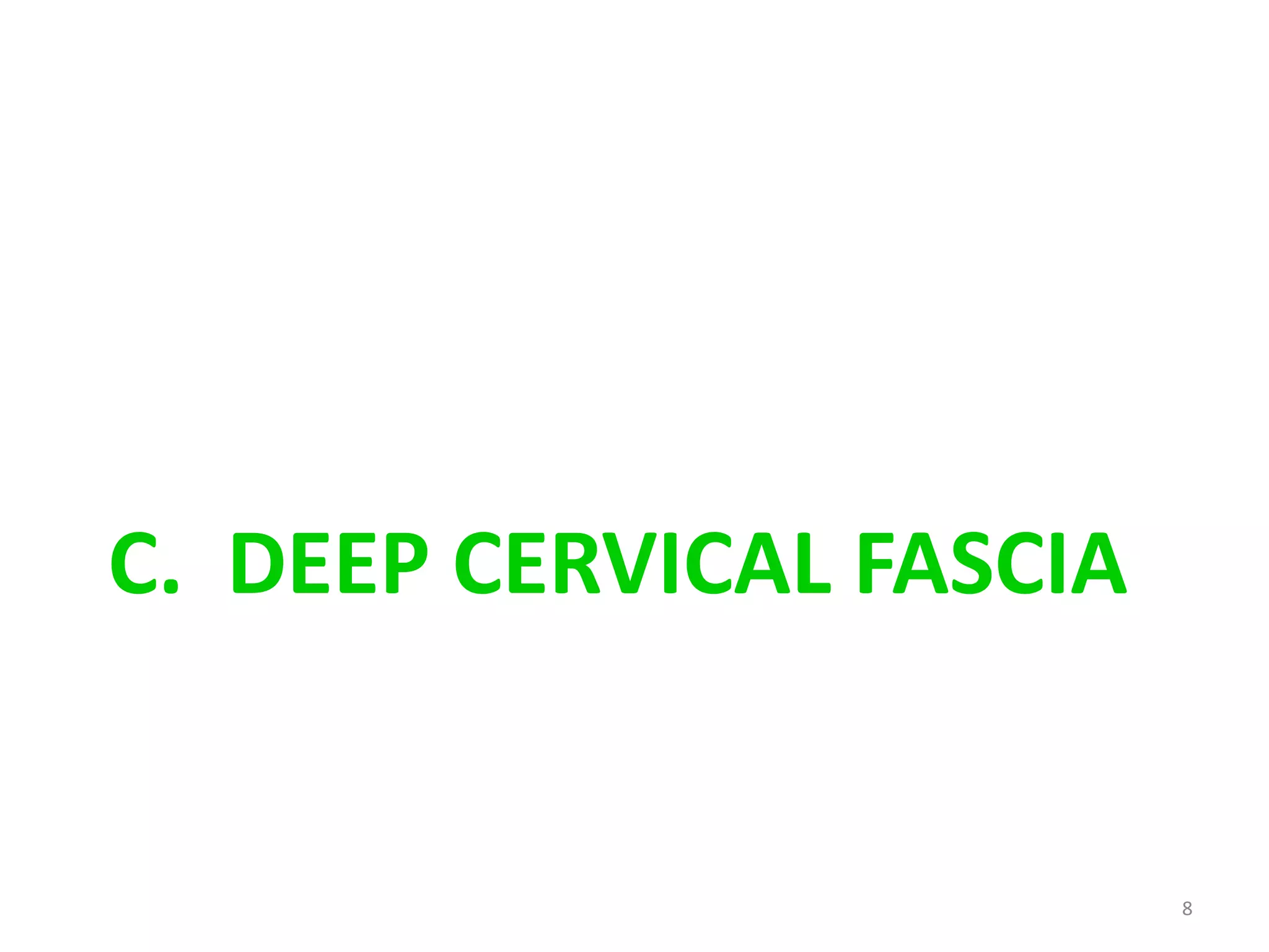 C. DEEP CERVICAL FASCIA


                          8
 