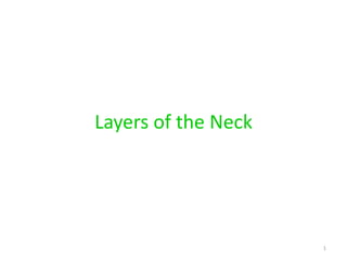 Layers of the Neck




                     1
 