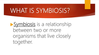 WHAT IS SYMBIOSIS?
Symbiosis is a relationship
between two or more
organisms that live closely
together.
 