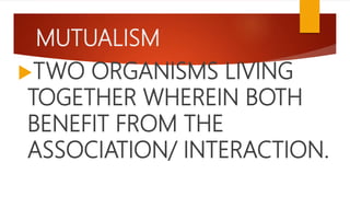 MUTUALISM
TWO ORGANISMS LIVING
TOGETHER WHEREIN BOTH
BENEFIT FROM THE
ASSOCIATION/ INTERACTION.
 
