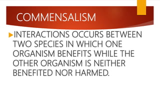 COMMENSALISM
INTERACTIONS OCCURS BETWEEN
TWO SPECIES IN WHICH ONE
ORGANISM BENEFITS WHILE THE
OTHER ORGANISM IS NEITHER
BENEFITED NOR HARMED.
 
