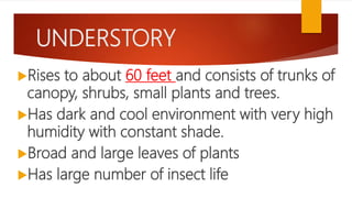 UNDERSTORY
Rises to about 60 feet and consists of trunks of
canopy, shrubs, small plants and trees.
Has dark and cool environment with very high
humidity with constant shade.
Broad and large leaves of plants
Has large number of insect life
 
