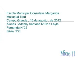 Escola Municipal Consulesa Margarida
Maksoud Trad
Campo Grande , 16 de agosto , de 2012
Alunas : Adrielly Santana N°02 e Layla
Fernanda N°22
Série: 9°C
 