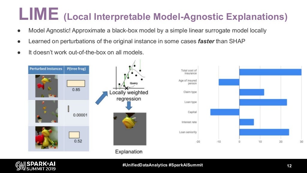Unified Approach to Interpret Machine Learning Model: SHAP + LIME