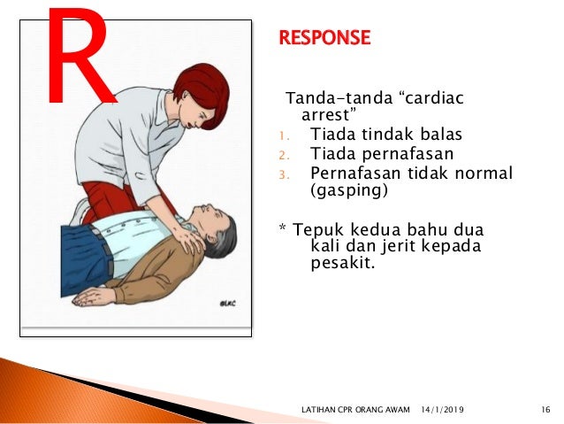cpr untuk orang dewasa