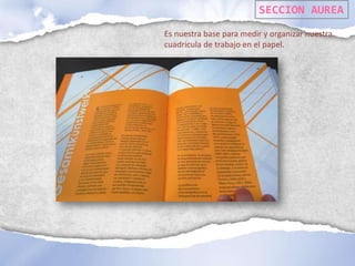 SECCION AUREA
Es nuestra base para medir y organizar nuestra
cuadricula de trabajo en el papel.
 