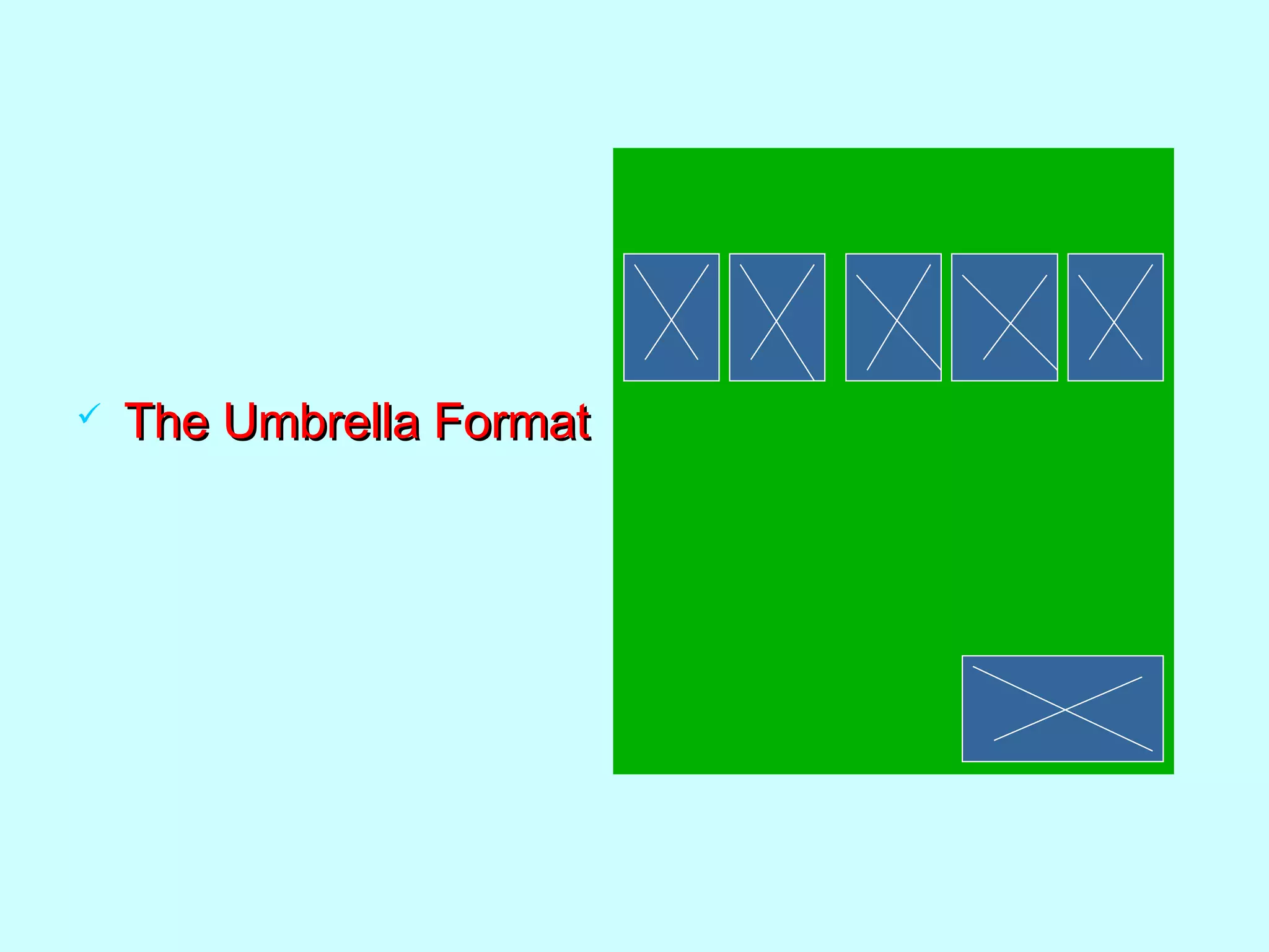  The Umbrella FormatThe Umbrella Format
 