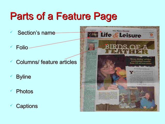 Layouting Your School Paper | PPT | Desktop Publishing | Computer ...