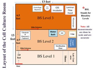 BS Level 1
BS Level 3
13
feet
13 feet
3.0
feet
LabCoat
area
4.5
feet
SINK
Shoes
Fridge
Liquid
Nitrogen
Water
Bath
Laminar
Flow
Hood
C02
Incubator
Centrifuge
Machine
CO2
Tank
Slide Entrance
Slide Entrance
Door
Sterilization
Zone
Chemicals
&
Glassware's
Cupboard
Microscope
BS Level 2
*BSL
Stands for
Biosafety
Levels
LayoutoftheCellCultureRoom
Note: All
measurements
are done in
scale and are
accurate
6.5
feet
 