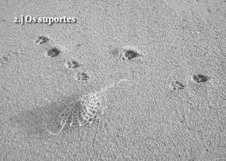 Search: CTRL+F

2.] Os suportes
Prova de Leitura

Design editorial / 2.] Os suportes / página 9

Temas

ìndice remissivo

 