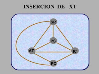 INSERCION  DE  XT SR AT PS IC PC 