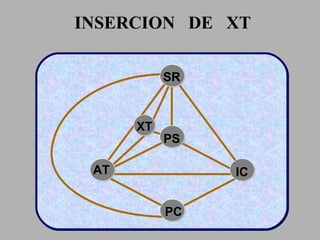 INSERCION  DE  XT SR AT PS IC PC XT 