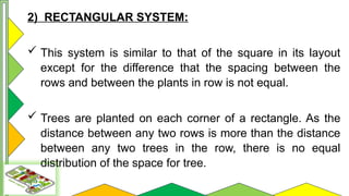 Comprehensive Guide to Orchard Layout and Planting Systems | PPTX