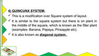 Quincunx System.drawing Comprehensive Guide to Orchard Layout and Planting Systems | PPTX