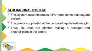 Comprehensive Guide to Orchard Layout and Planting Systems | PPTX