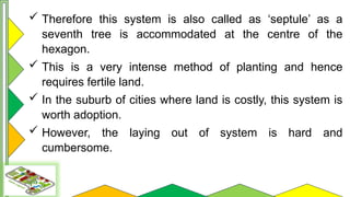 Comprehensive Guide to Orchard Layout and Planting Systems | PPTX