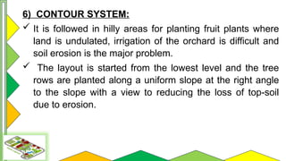 Comprehensive Guide to Orchard Layout and Planting Systems | PPTX