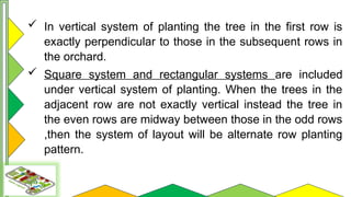 Comprehensive Guide to Orchard Layout and Planting Systems | PPTX