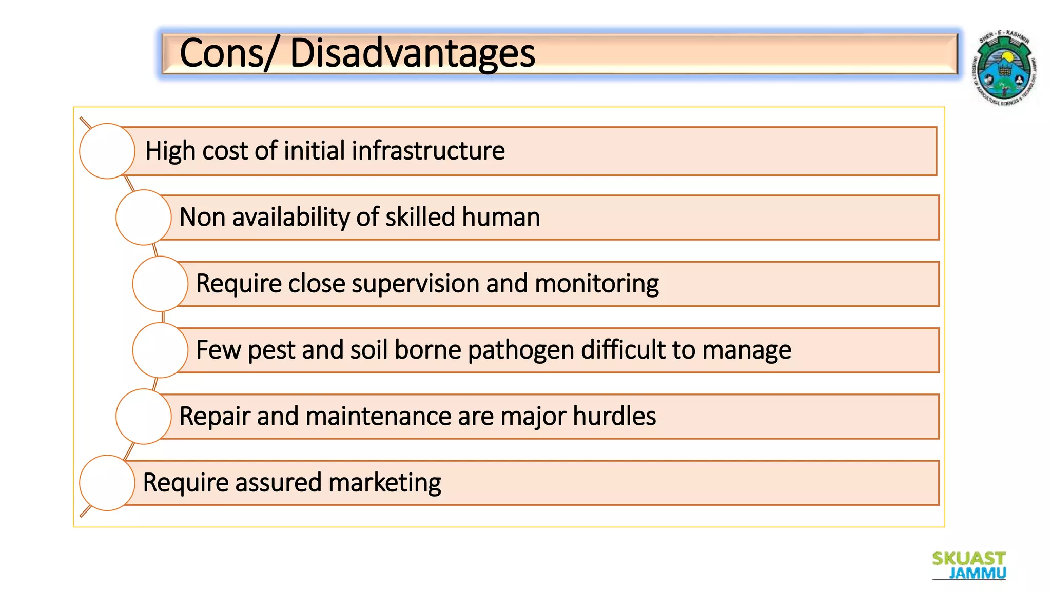 Layout of Hi-Tech Nursery, Pros and Cons.pptx