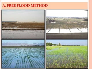 Comprehensive Overview of Various Irrigation Systems and Their ...