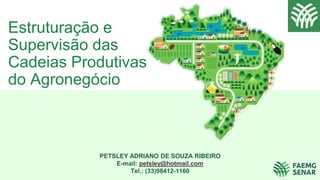 Estruturação e
Supervisão das
Cadeias Produtivas
do Agronegócio
PETSLEY ADRIANO DE SOUZA RIBEIRO
E-mail: petsley@hotmail.com
Tel.: (33)98412-1160
 