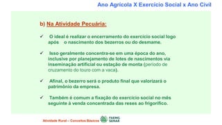 Ano Agrícola X Exercício Social x Ano Civil
b) Na Atividade Pecuária:
 O ideal é realizar o encerramento do exercício social logo
após o nascimento dos bezerros ou do desmame.
 Isso geralmente concentra-se em uma época do ano,
inclusive por planejamento de lotes de nascimentos via
inseminação artificial ou estação de monta (período de
cruzamento do touro com a vaca).
 Afinal, o bezerro será o produto final que valorizará o
patrimônio da empresa.
 Também é comum a fixação do exercício social no mês
seguinte à venda concentrada das reses ao frigorífico.
Atividade Rural – Conceitos Básicos
 