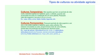 Tipos de culturas na atividade agrícola
Culturas Temporárias: São aquelas que tem um período de vida
curto, estando sujeitas ao replantio após a colheita, quando são
arrancadas do solo p/ a realização de um novo plantio. Possuem
vida não superior a um ano (culturas anuais).
Ex.: soja, milho, arroz, feijão, batata, legumes, etc.
Culturas Permanentes: Possuem período de vida superior a um
ano e não estão sujeitas a replantio após cada colheita. Por
estarem vinculadas ao solo, proporcionam mais de uma colheita,
sendo fator de produção da empresa por diversos anos.
Ex.: cana de açúcar, citricultura (laranja, limão...), cafeicultura,
silvicultura (essências florestais, plantas arbóreas), oleicultura
(oliveira), frutas arbóreas (uva, maça, pêra, jaca, goiaba...).
Atividade Rural – Conceitos Básicos
 