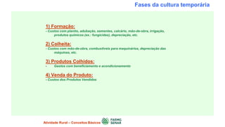 Fases da cultura temporária
1) Formação:
- Custos com plantio, adubação, sementes, calcário, mão-de-obra, irrigação,
produtos químicos (ex.: fungicidas), depreciação, etc.
2) Colheita:
- Custos com mão-de-obra, combustíveis para maquinários, depreciação das
máquinas, etc.
3) Produtos Colhidos:
- Gastos com beneficiamento e acondicionamento
4) Venda do Produto:
- Custos dos Produtos Vendidos
Atividade Rural – Conceitos Básicos
 