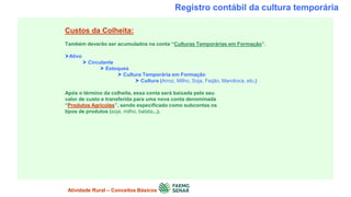 Registro contábil da cultura temporária
Custos da Colheita:
Também deverão ser acumulados na conta “Culturas Temporárias em Formação”.
Ativo
 Circulante
 Estoques
 Cultura Temporária em Formação
 Cultura (Arroz, Milho, Soja, Feijão, Mandioca, etc.)
Após o término da colheita, essa conta será baixada pelo seu
valor de custo e transferida para uma nova conta denominada
“Produtos Agrícolas”, sendo especificado como subcontas os
tipos de produtos (soja, milho, batata...).
Atividade Rural – Conceitos Básicos
 