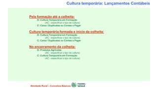 Cultura temporária: Lançamentos Contábeis
Pela formação até a colheita:
D: Cultura Temporária em Formação
(AC - especificar o tipo de cultura)
C: Caixa / Duplicatas ou Contas a Pagar
Cultura temporária formada e início da colheita:
D: Cultura Temporária em Formação
(AC - especificar o tipo de cultura)
C: Caixa / Duplicatas ou Contas a Pagar
No encerramento da colheita:
D: Produtos Agrícolas
(AC - especificar o tipo de cultura)
C: Cultura Temporária em Formação
(AC - especificar o tipo de cultura)
Atividade Rural – Conceitos Básicos
 