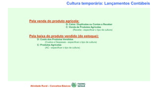 Cultura temporária: Lançamentos Contábeis
Pela venda do produto agrícola:
D: Caixa / Duplicatas ou Contas a Receber
C: Venda de Produtos Agrícolas
(Receita - especificar o tipo de cultura)
Pela baixa do produto vendido (do estoque):
D: Custo dos Produtos Vendidos
(Custos e Despesas - especificar o tipo de cultura)
C: Produtos Agrícolas
(AC - especificar o tipo de cultura)
Atividade Rural – Conceitos Básicos
 