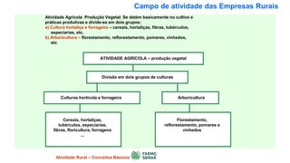 Campo de atividade das Empresas Rurais
Atividade Agrícola Produção Vegetal: Se detém basicamente no cultivo e
práticas produtivas e divide-se em dois grupos:
a) Cultura hortaliça e forrageira – cereais, hortaliças, fibras, tubérculos,
especiarias, etc.
b) Arboricultura – florestamento, reflorestamento, pomares, vinhedos,
etc
ATIVIDADE AGRÍCOLA – produção vegetal
Divisão em dois grupos de culturas
Culturas hortícola e forrageira Arboricultura
Atividade Rural – Conceitos Básicos
Cereais, hortaliças,
tubérculos, especiarias,
fibras, floricultura, forragens
...
Florestamento,
reflorestamento, pomares e
vinhedos
 