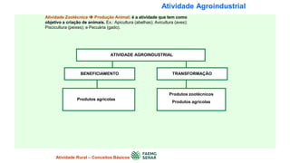 Atividade Agroindustrial
Atividade Zootécnica  Produção Animal: é a atividade que tem como
objetivo a criação de animais. Ex.: Apicultura (abelhas); Avicultura (aves);
Piscicultura (peixes); e Pecuária (gado).
ATIVIDADE AGROINDUSTRIAL
BENEFICIAMENTO
Produtos agrícolas
Atividade Rural – Conceitos Básicos
Produtos zootécnicos
Produtos agrícolas
TRANSFORMAÇÃO
 