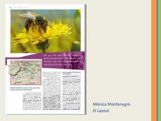 Mónica Montenegro
El Layout
 