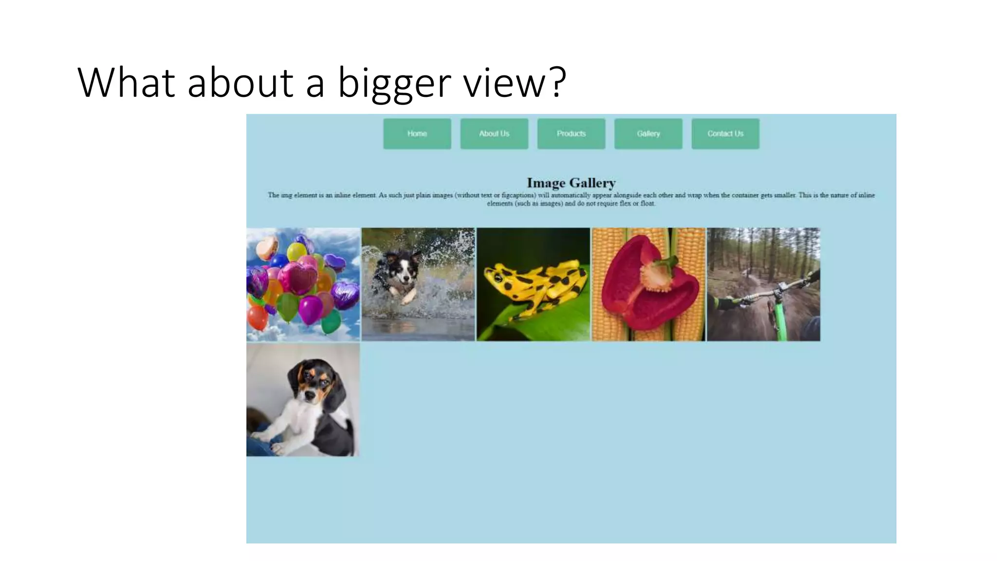 What about a bigger view?
 