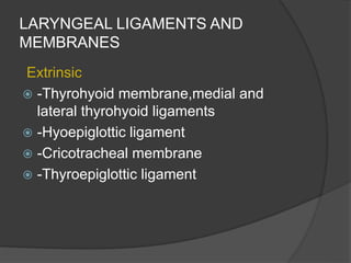 LARYNGEAL LIGAMENTS AND
MEMBRANES
Extrinsic
 -Thyrohyoid membrane,medial and
lateral thyrohyoid ligaments
 -Hyoepiglottic ligament
 -Cricotracheal membrane
 -Thyroepiglottic ligament
 