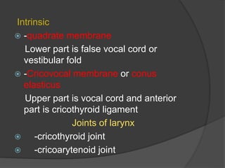 Intrinsic
 -quadrate membrane
Lower part is false vocal cord or
vestibular fold
 -Cricovocal membrane or conus
elasticus
Upper part is vocal cord and anterior
part is cricothyroid ligament
Joints of larynx
 -cricothyroid joint
 -cricoarytenoid joint
 