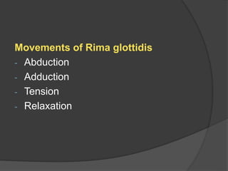 Movements of Rima glottidis
- Abduction
- Adduction
- Tension
- Relaxation
 