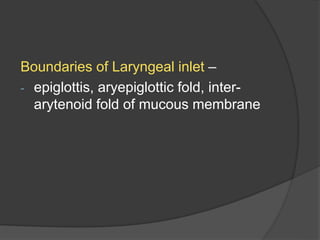 Boundaries of Laryngeal inlet –
- epiglottis, aryepiglottic fold, inter-
arytenoid fold of mucous membrane
 